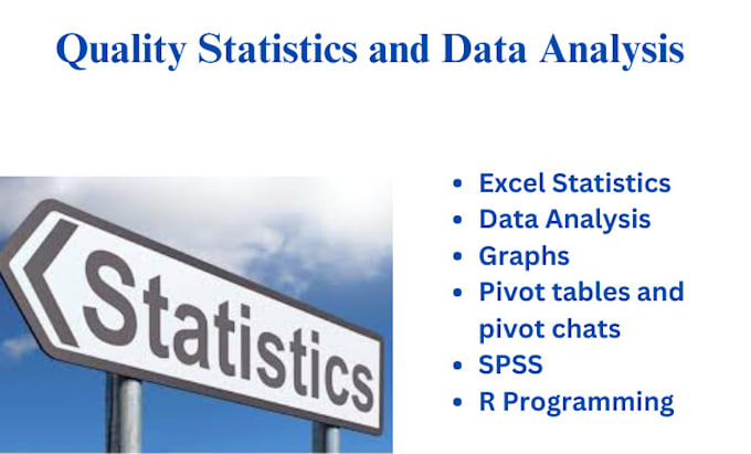 Gig Preview - Do analysis excel statistics report, assignment and research