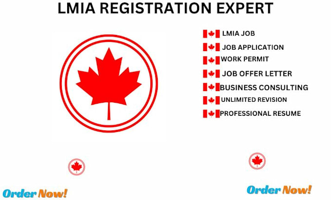 Gig Preview - Guide you through the lmia process for employers and workers