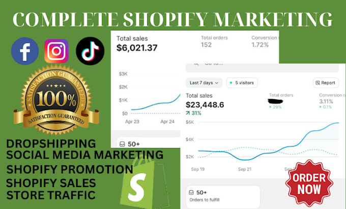 Gig Preview - Set up complete shopify marketing dropshipping management