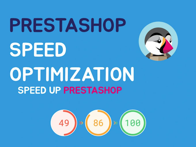 Bestseller - fix or speed up prestashop, webflow, php, duda for google pagespeed, prestashop