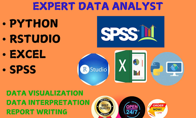 Gig Preview - Expertly analyse your data using python, spss , r and excel