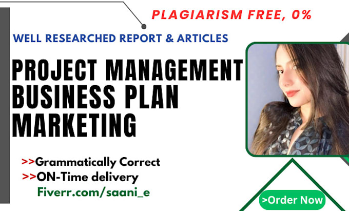 Gig Preview - Do project management reports, plans,  gantt chart