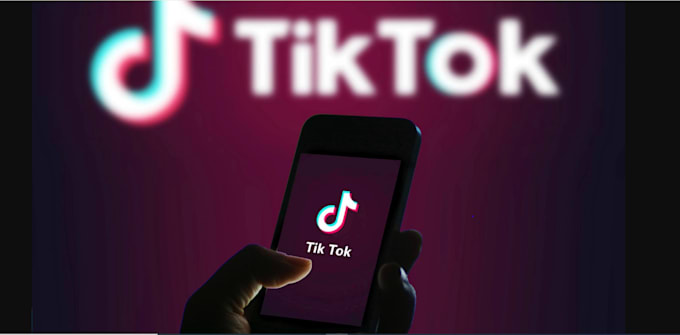 Gig Preview - Create livestream bot tiktok bot youtube bot instagram API bot twitch bot