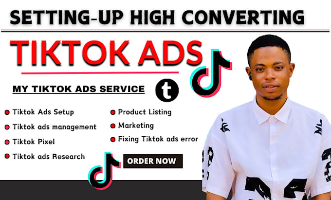 Gig Preview - Setup conversion tiktok ads campaign, tiktok video ads, manage tiktok ads