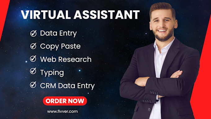 Gig Preview - Be your virtual assistant for data entry, copy paste, web research