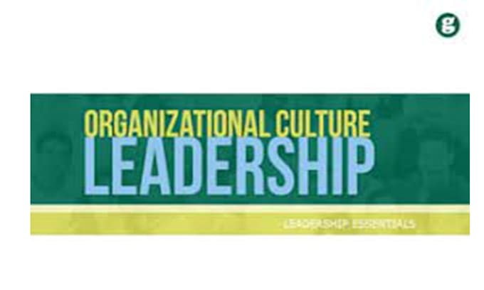 Gig Preview - Do quality leadership essays, organizational theory, behavior, and culture essay