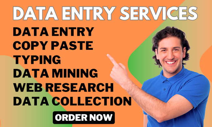 Gig Preview - Professional data entry, data mining, copy paste and web research jobs