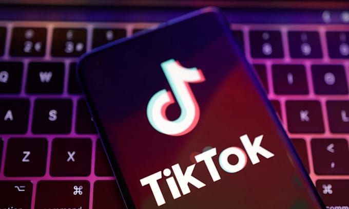 Gig Preview - Setup and manage tiktok shop, tiktok marketing on tiktok shop, tiktok ads