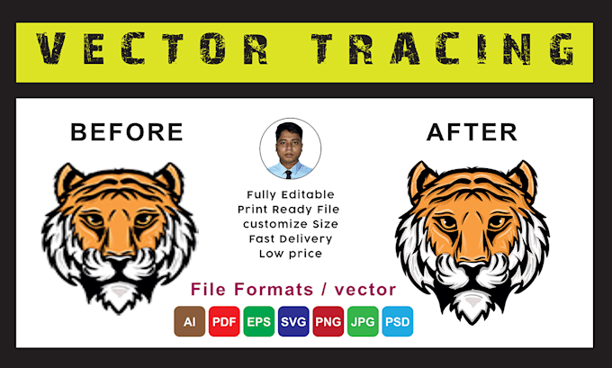 Gig Preview - Do manually vectorize your raster image or logo