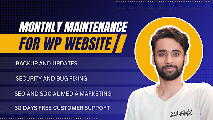 Gig Preview - Do full wordpress monthly website maintenance with audit report