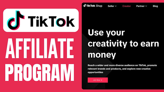 Gig Preview - Be your expert in tiktok shop affiliate marketing