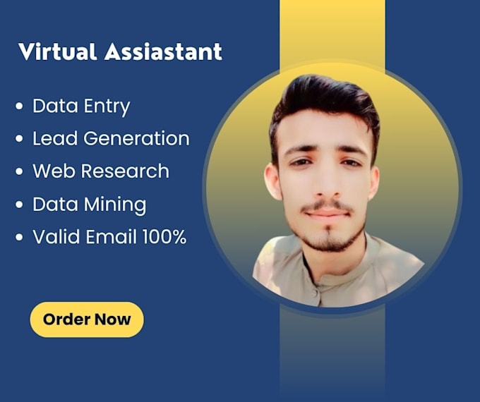 Gig Preview - Be your virtual assistant for data entry, data mining, copy paste, web research