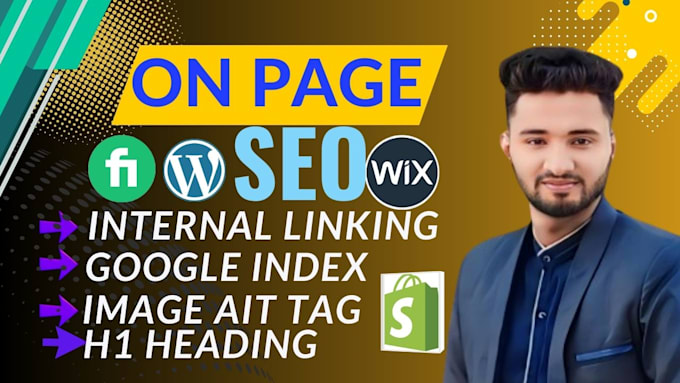 Gig Preview - Provide on page seo internal linking h1 image alt tag google index