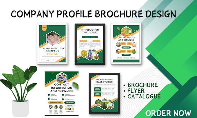 Gig Preview - Design business brochure, company profile, catalog, proposal or annual report