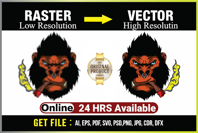 Gig Preview - Do best vector tracing for printing in ai eps pdf png svg