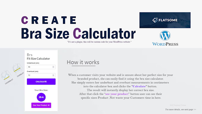 Gig Preview - Custom bra size calculator for wordpress expert coding