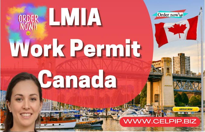 Gig Preview - Complete your  lmia job applications, work permits