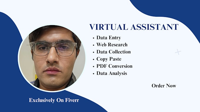 Gig Preview - Urgent data entry typing and web research, virtual assistant