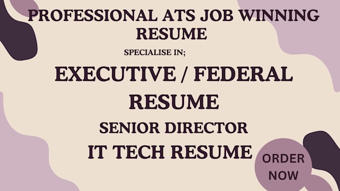 Gig Preview - Write your federal executive, senior director, IT and government resume writing