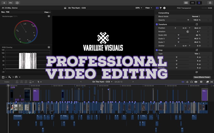 Gig Preview - Edit your video professionally