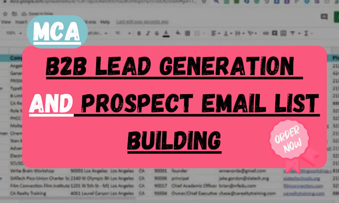 Gig Preview - High quality mca small business loan leads, b2b lead generation verified leads