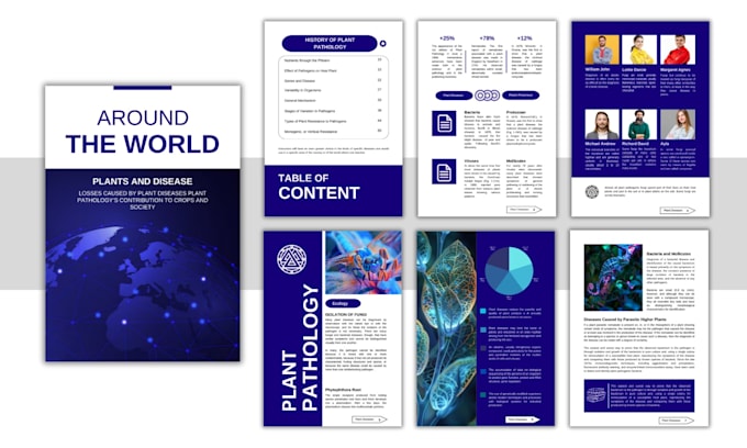 Bestseller - design PDF lead magnet, ebook and workbook