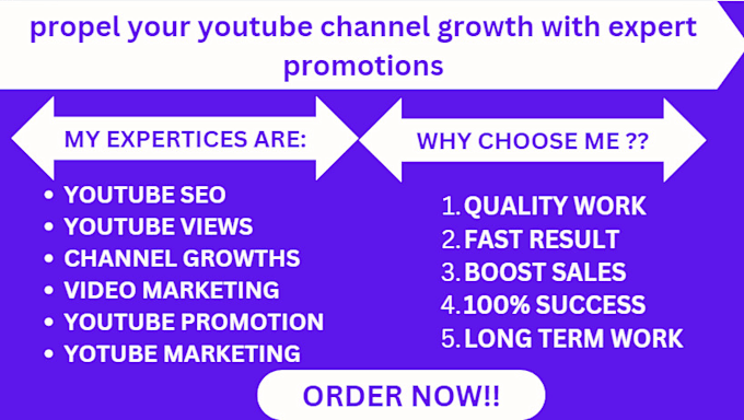 Gig Preview - Propel your youtube channel growth with expert promotions