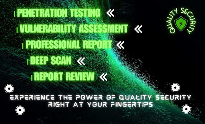 Gig Preview - Accomplish vulnerability assessment and web penetration