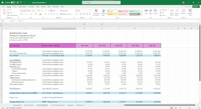 Gig Preview - Build a financial model, projections, or forecasts for your startup or project