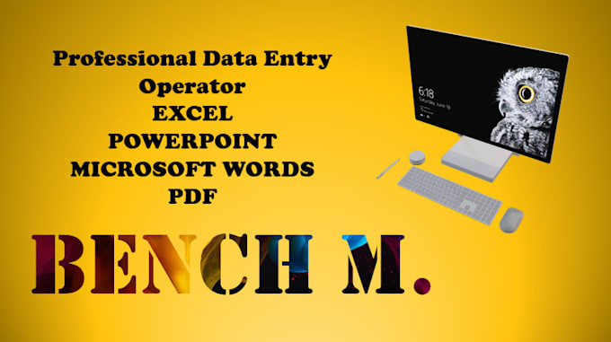 Gig Preview - Data entry on excel, powerpoint, words