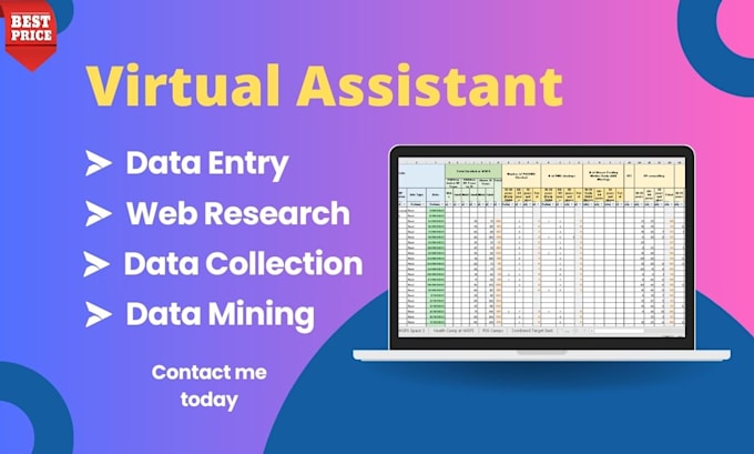 Gig Preview - Do fast data entry, data mining, web research as ms excel data entry expert