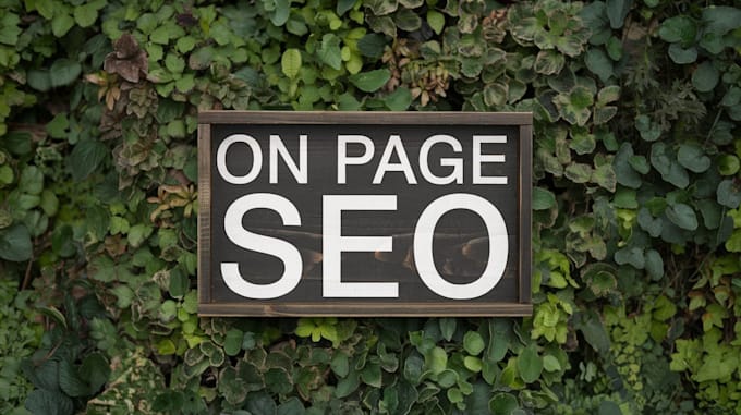 Gig Preview - Do on page SEO optimization to boost your google rankings