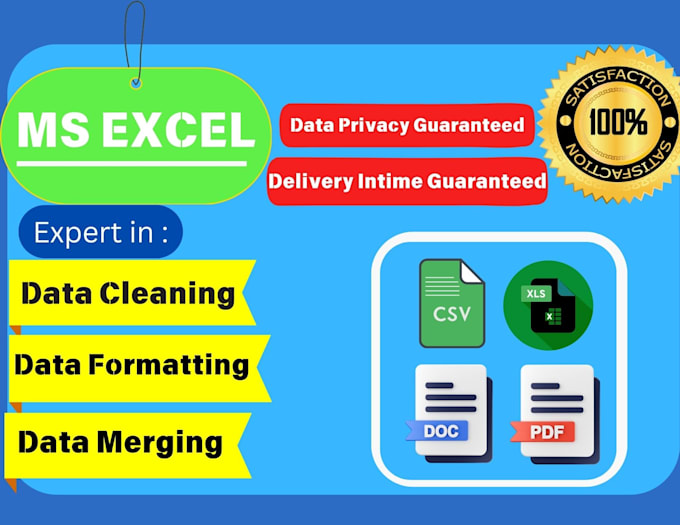 Gig Preview - Do data cleaning using ms excel