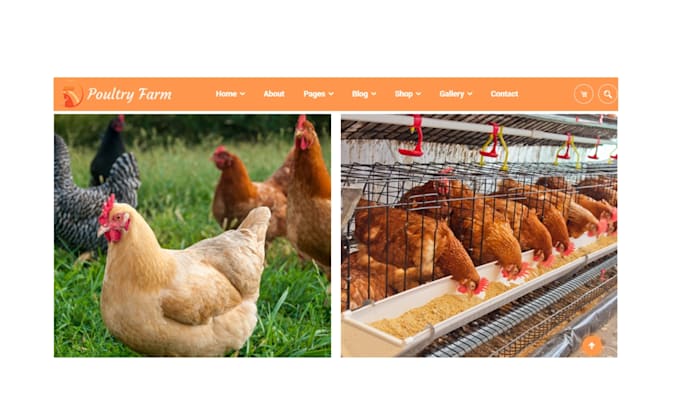 Gig Preview - Design poultry meat shopify store farm meat store seafood restaurant meat store