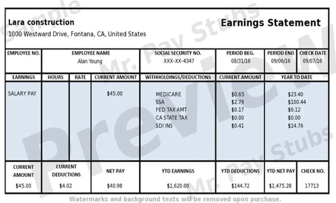 Gig Preview - Create adp pay stubs, paychecks and salary slips for you