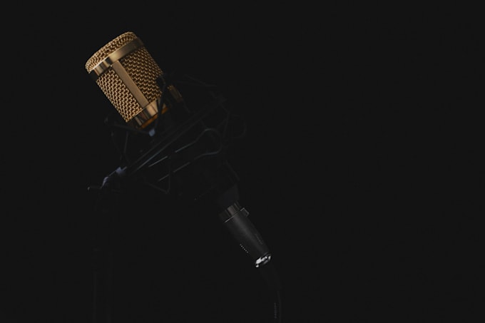 Gig Preview - Create premium,ultra realistic male and female voiceovers