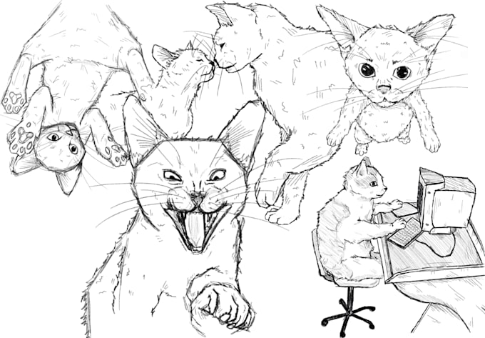 Gig Preview - Do drawings of your pet cat