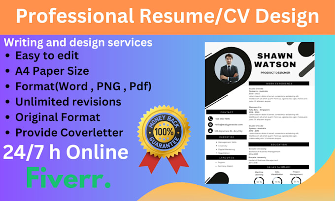 Gig Preview - Create a professional , modern CV , resume with cover letter