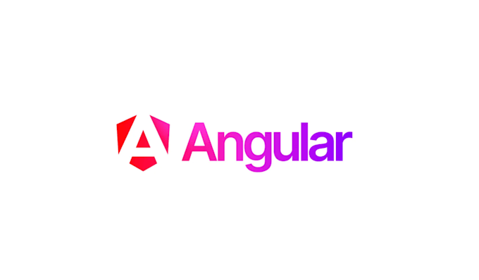 Gig Preview - Do development on your angular web application