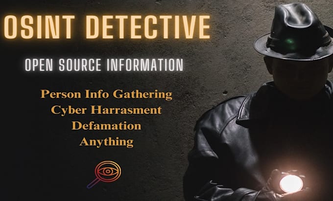 Gig Preview - Make online private investigation find someone detective security expert