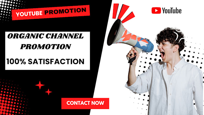 Gig Preview - Superfast youtube video promotion quick channel monetization organic subs views