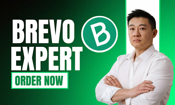 Gig Preview - Set up brevo design editable bravo email newsletter template campaign automation