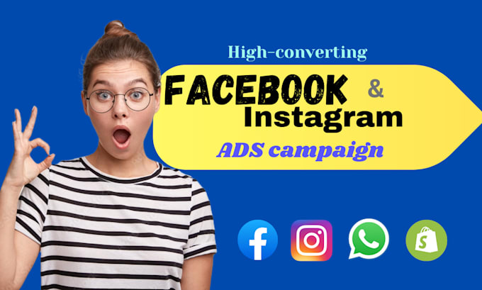 Gig Preview - Setup facebook ads and instagram ads campaign