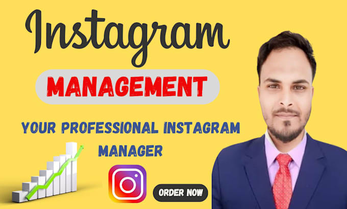 Gig Preview - Be your instagram marketing manager for organic growth