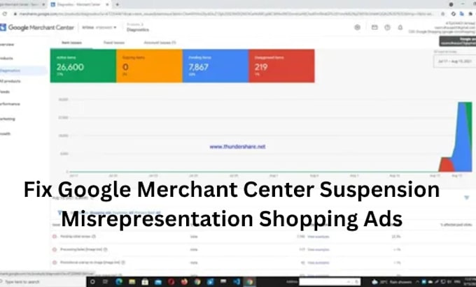 Gig Preview - Fix google merchant center suspension misrepresentation shopping ads