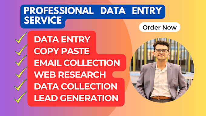 Gig Preview - Do quick and precise data entry for you in 24 hr