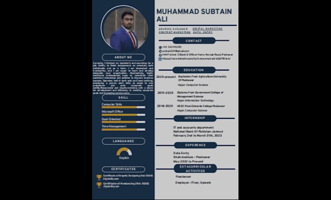 Gig Preview - Create a unique resume