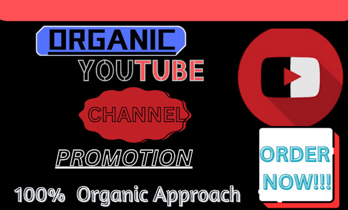 Gig Preview - Do organic youtube channel promotion for monetization