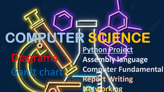 Gig Preview - Computer science tasks using python and java