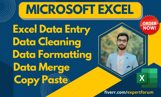 Gig Preview - Excel data entry, cleanup, and formatting services